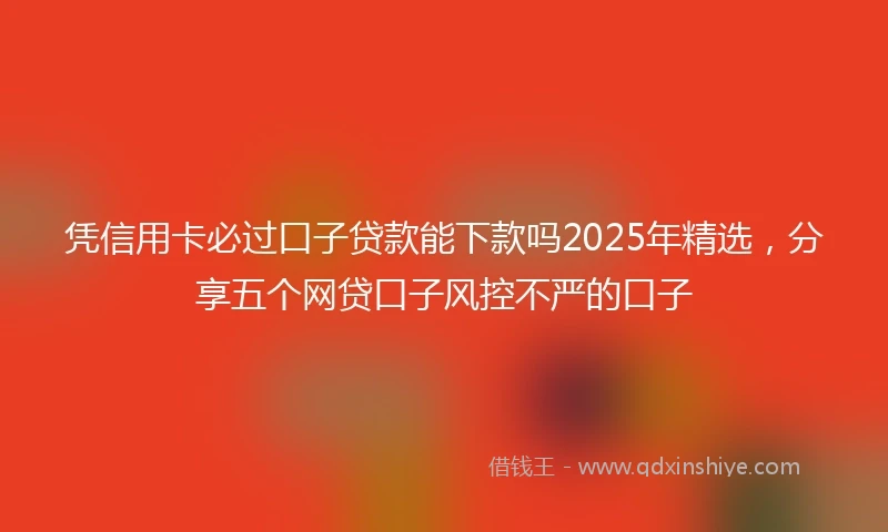 凭信用卡必过口子贷款能下款吗2025年精选，分享五个网贷口子风控不严的口子