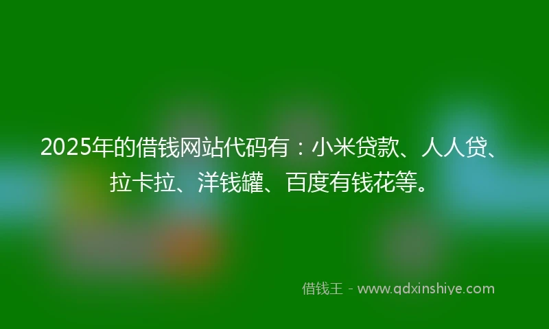 2025年的借钱网站代码有：小米贷款、人人贷、拉卡拉、洋钱罐、百度有钱花等。
