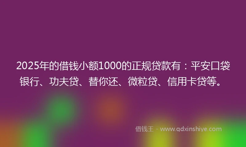 2025年的借钱小额1000的正规贷款有：平安口袋银行、功夫贷、替你还、微粒贷、信用卡贷等。