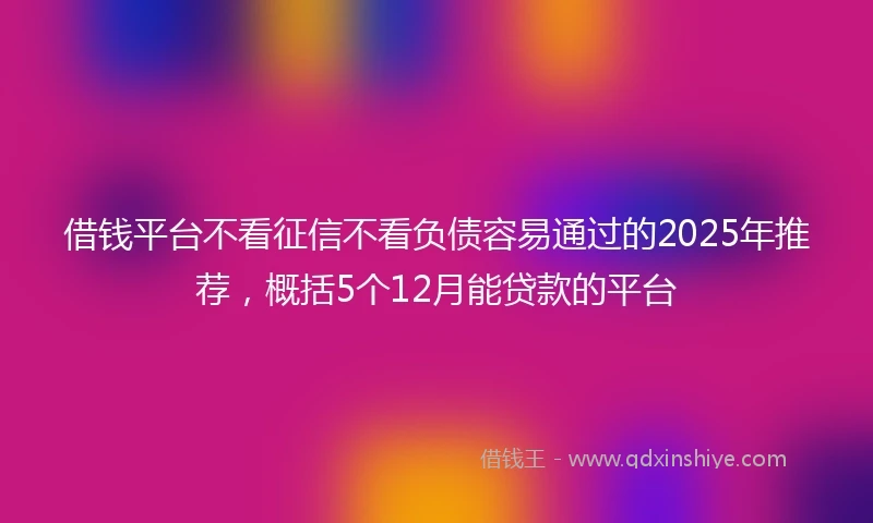 借钱平台不看征信不看负债容易通过的2025年推荐，概括5个12月能贷款的平台
