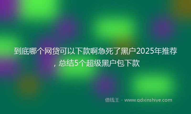 到底哪个网贷可以下款啊急死了黑户2025年推荐，总结5个超级黑户包下款