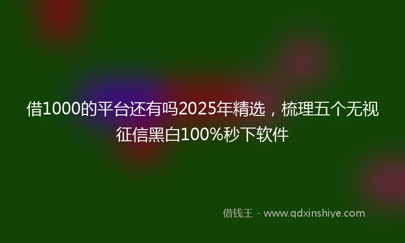 借1000的平台还有吗2025年精选，梳理五个无视征信黑白100%秒下软件