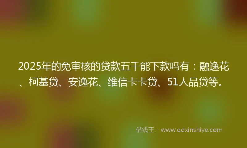 2025年的免审核的贷款五千能下款吗有：融逸花、柯基贷、安逸花、维信卡卡贷、51人品贷等。