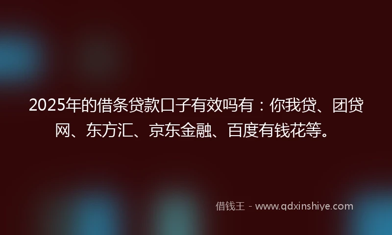 2025年的借条贷款口子有效吗有：你我贷、团贷网、东方汇、京东金融、百度有钱花等。