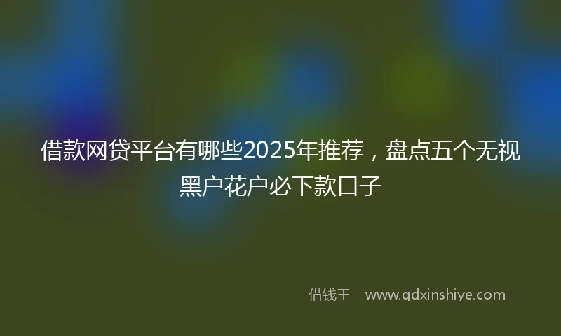 借款网贷平台有哪些2025年推荐，盘点五个无视黑户花户必下款口子