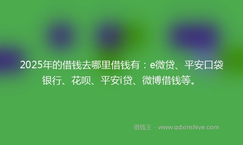 2025年的借钱去哪里借钱有：e微贷、平安口袋银行、花呗、平安i贷、微博借钱等。