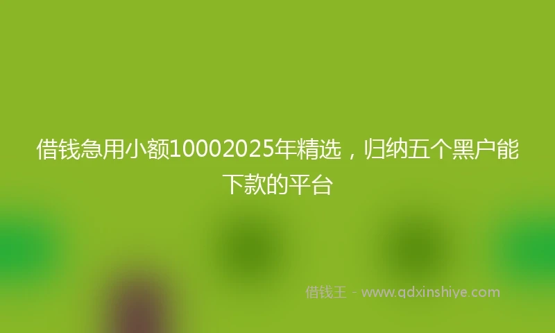 借钱急用小额10002025年精选，归纳五个黑户能下款的平台