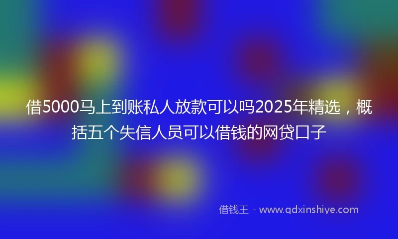 借5000马上到账私人放款可以吗2025年精选，概括五个失信人员可以借钱的网贷口子