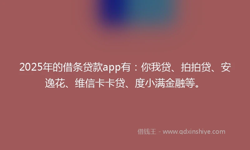 2025年的借条贷款app有：你我贷、拍拍贷、安逸花、维信卡卡贷、度小满金融等。