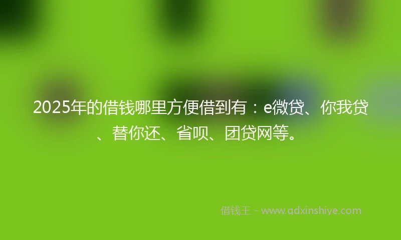 2025年的借钱哪里方便借到有：e微贷、你我贷、替你还、省呗、团贷网等。