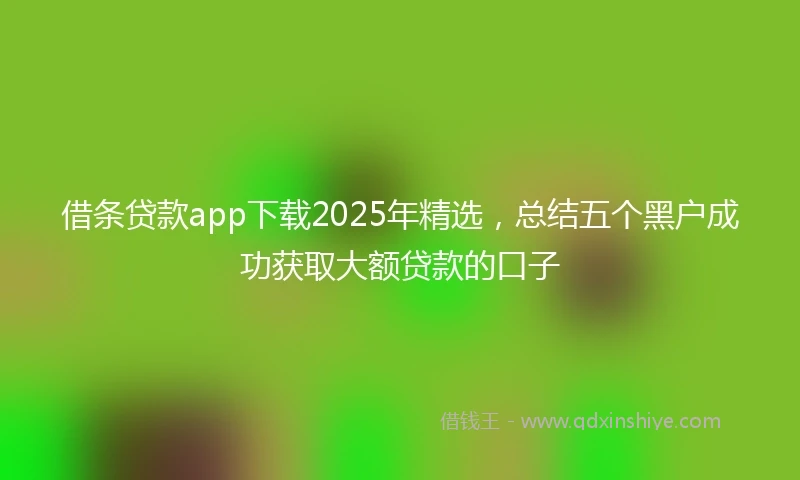 借条贷款app下载2025年精选，总结五个黑户成功获取大额贷款的口子