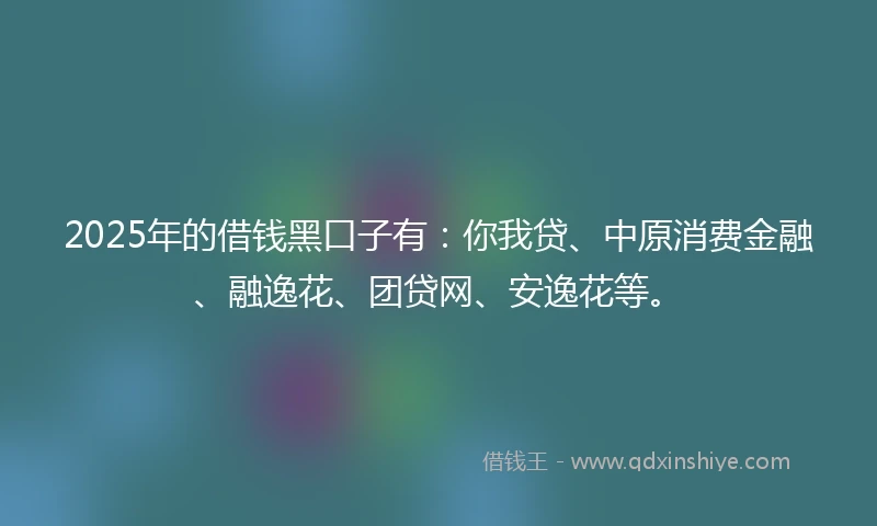 2025年的借钱黑口子有：你我贷、中原消费金融、融逸花、团贷网、安逸花等。