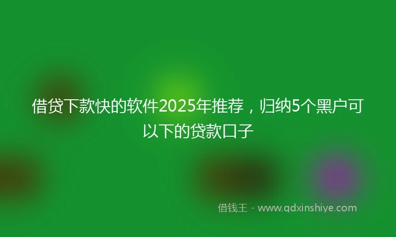 借贷下款快的软件2025年推荐，归纳5个黑户可以下的贷款口子