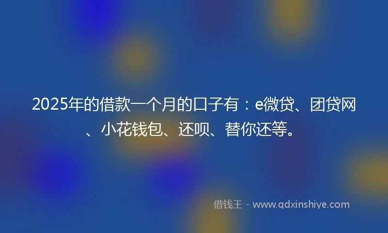 2025年的借款一个月的口子有：e微贷、团贷网、小花钱包、还呗、替你还等。