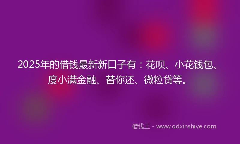 2025年的借钱最新新口子有：花呗、小花钱包、度小满金融、替你还、微粒贷等。