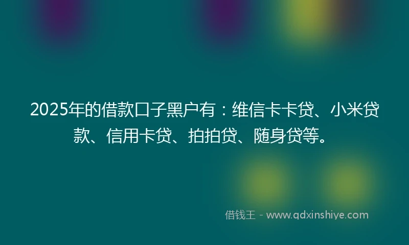 2025年的借款口子黑户有：维信卡卡贷、小米贷款、信用卡贷、拍拍贷、随身贷等。