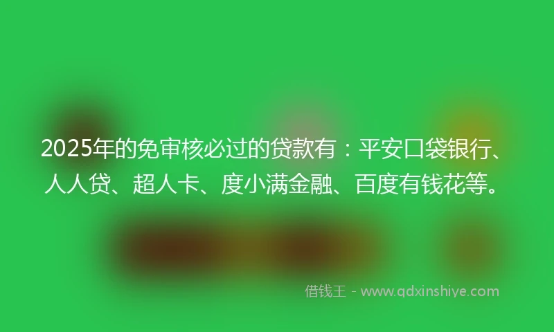 2025年的免审核必过的贷款有：平安口袋银行、人人贷、超人卡、度小满金融、百度有钱花等。