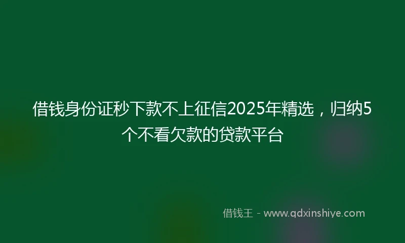借钱身份证秒下款不上征信2025年精选，归纳5个不看欠款的贷款平台