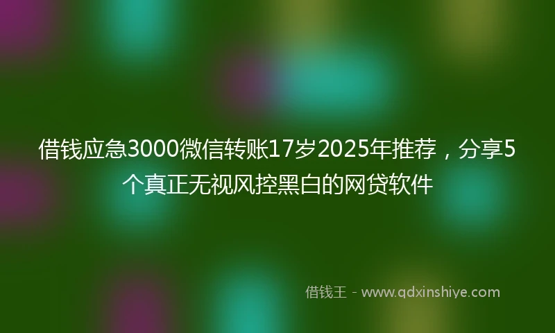 借钱应急3000微信转账17岁2025年推荐，分享5个真正无视风控黑白的网贷软件