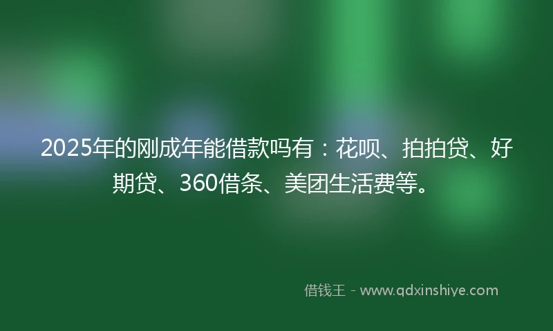 2025年的刚成年能借款吗有：花呗、拍拍贷、好期贷、360借条、美团生活费等。
