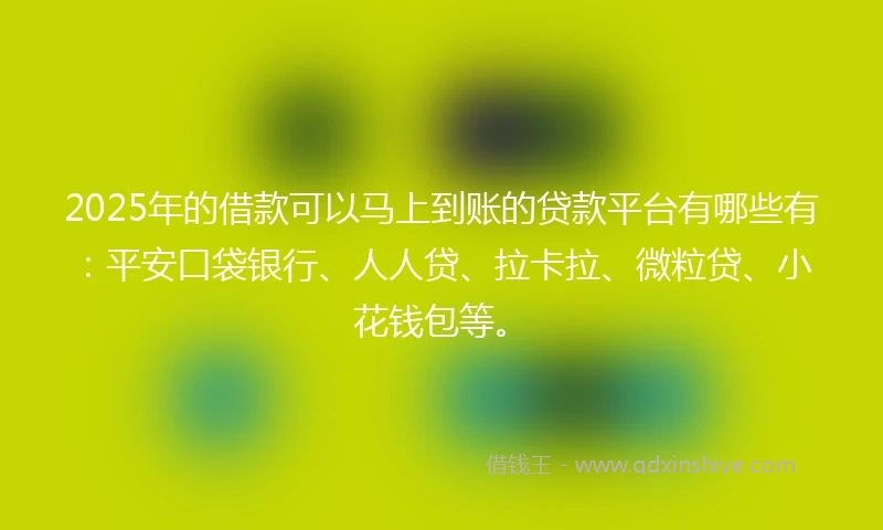 2025年的借款可以马上到账的贷款平台有哪些有：平安口袋银行、人人贷、拉卡拉、微粒贷、小花钱包等。
