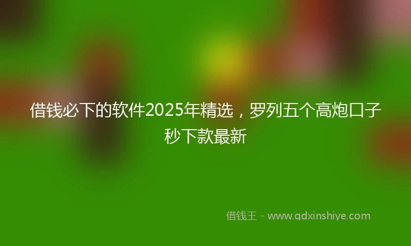 借钱必下的软件2025年精选，罗列五个高炮口子秒下款最新