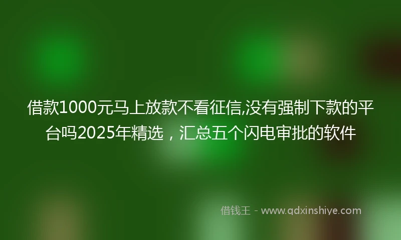 借款1000元马上放款不看征信,没有强制下款的平台吗2025年精选，汇总五个闪电审批的软件