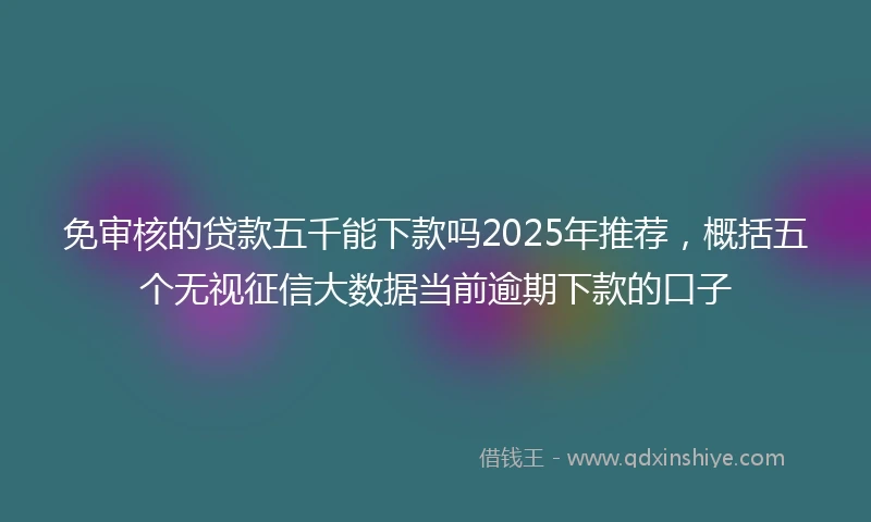 免审核的贷款五千能下款吗2025年推荐，概括五个无视征信大数据当前逾期下款的口子