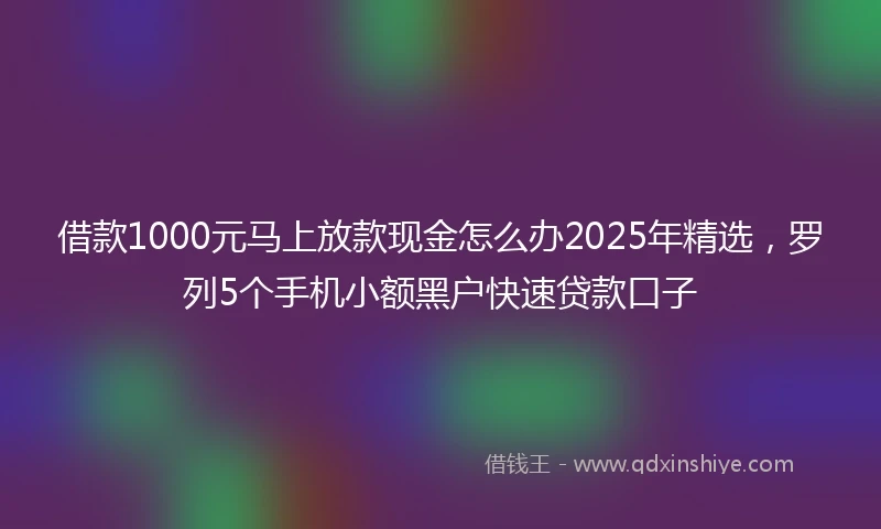 借款1000元马上放款现金怎么办2025年精选，罗列5个手机小额黑户快速贷款口子