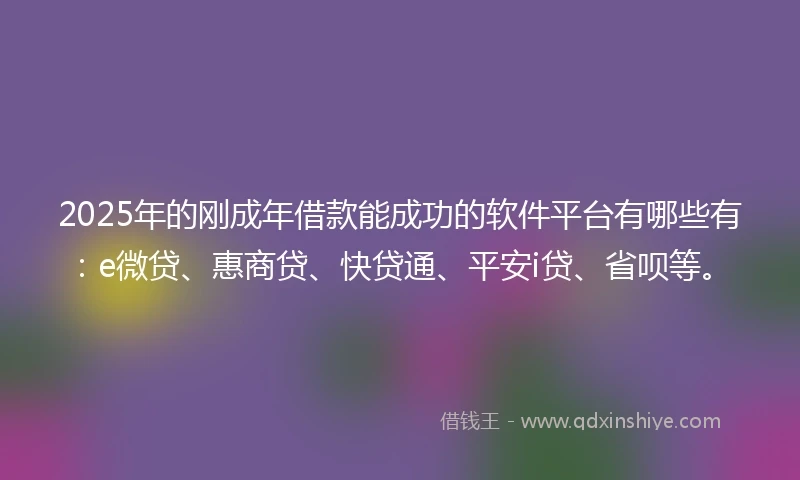 2025年的刚成年借款能成功的软件平台有哪些有：e微贷、惠商贷、快贷通、平安i贷、省呗等。
