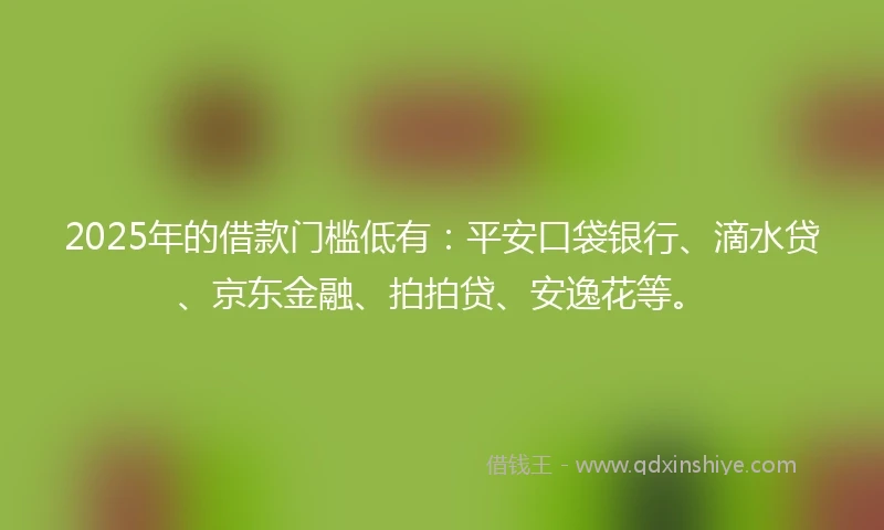 2025年的借款门槛低有：平安口袋银行、滴水贷、京东金融、拍拍贷、安逸花等。