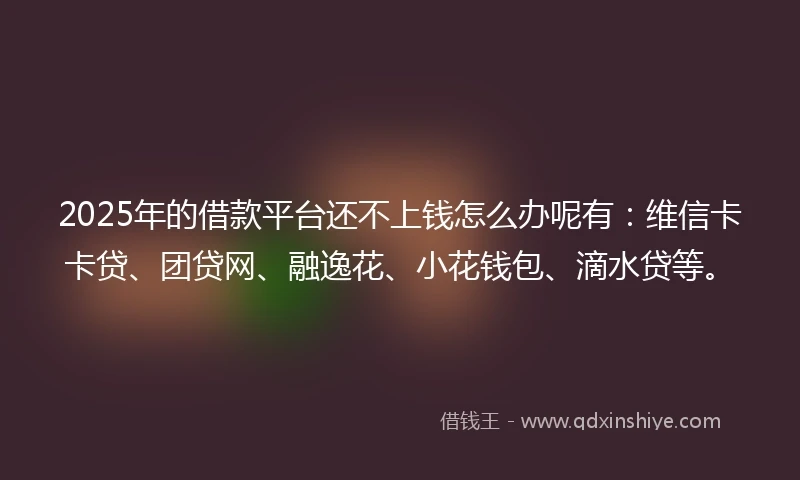 2025年的借款平台还不上钱怎么办呢有：维信卡卡贷、团贷网、融逸花、小花钱包、滴水贷等。