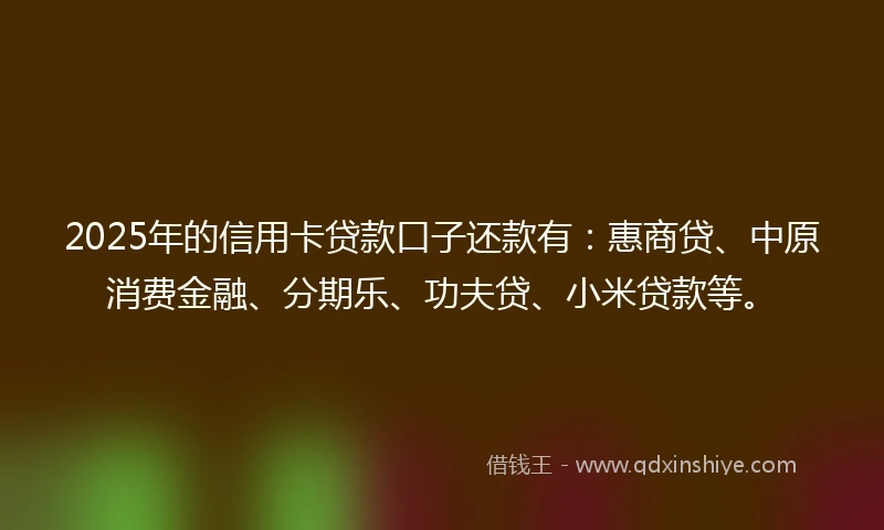 2025年的信用卡贷款口子还款有:惠商贷、中原消费金融、分期乐、功夫贷、小米贷款等。