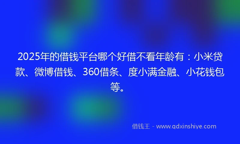 2025年的借钱平台哪个好借不看年龄有：小米贷款、微博借钱、360借条、度小满金融、小花钱包等。