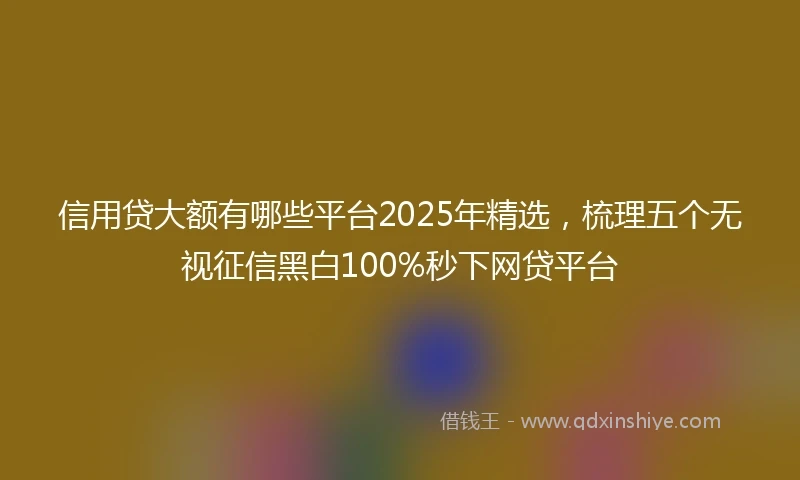 信用贷大额有哪些平台2025年精选，梳理五个无视征信黑白100%秒下网贷平台