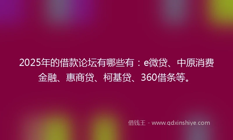 2025年的借款论坛有哪些有：e微贷、中原消费金融、惠商贷、柯基贷、360借条等。