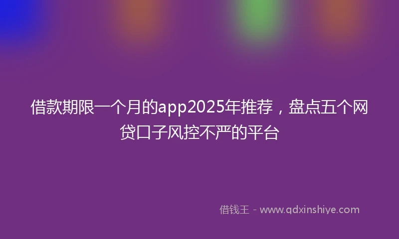 借款期限一个月的app2025年推荐，盘点五个网贷口子风控不严的平台