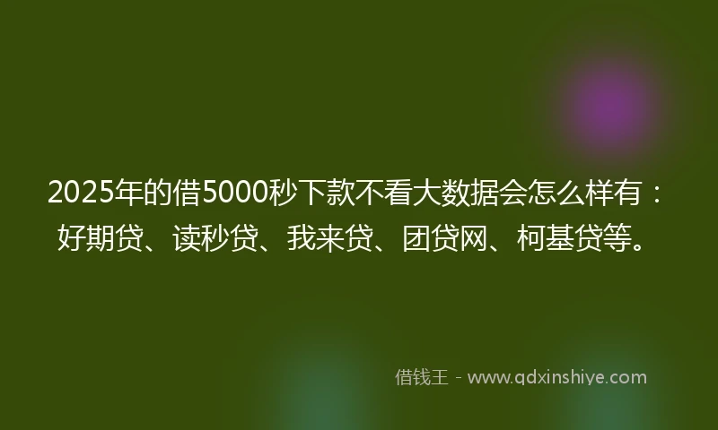 2025年的借5000秒下款不看大数据会怎么样有：好期贷、读秒贷、我来贷、团贷网、柯基贷等。