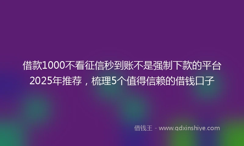 借款1000不看征信秒到账不是强制下款的平台2025年推荐，梳理5个值得信赖的借钱口子