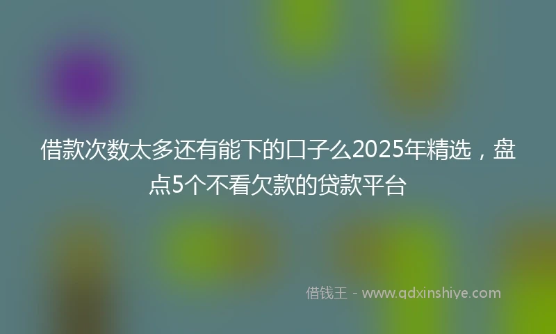 借款次数太多还有能下的口子么2025年精选，盘点5个不看欠款的贷款平台