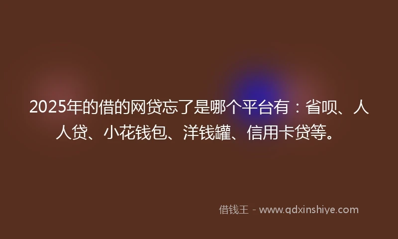 2025年的借的网贷忘了是哪个平台有：省呗、人人贷、小花钱包、洋钱罐、信用卡贷等。