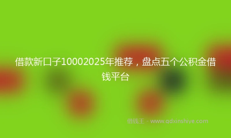借款新口子10002025年推荐，盘点五个公积金借钱平台