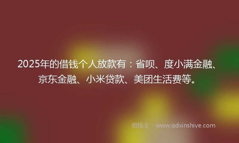 2025年的借钱个人放款有：省呗、度小满金融、京东金融、小米贷款、美团生活费等。