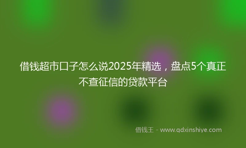 借钱超市口子怎么说2025年精选，盘点5个真正不查征信的贷款平台