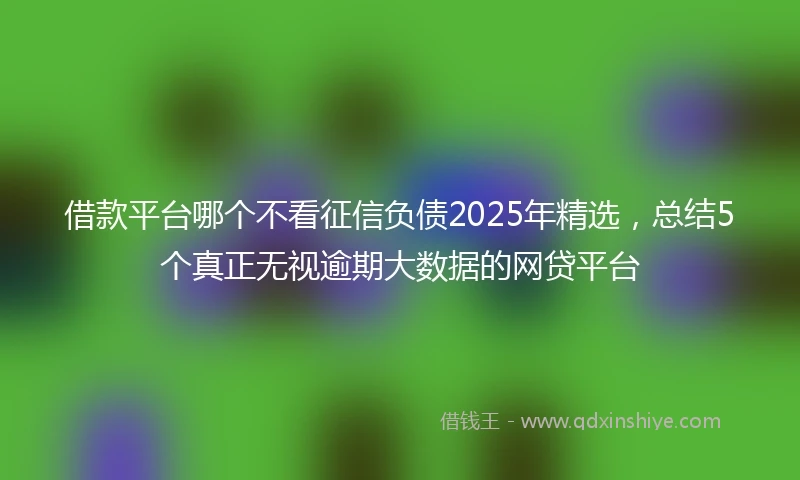 借款平台哪个不看征信负债2025年精选,总结5个真正无视逾期大数据的网贷平台