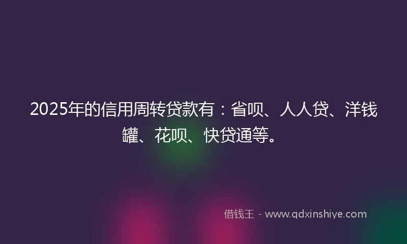 2025年的信用周转贷款有：省呗、人人贷、洋钱罐、花呗、快贷通等。