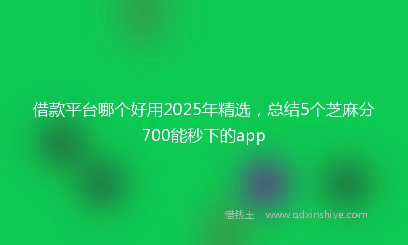 借款平台哪个好用2025年精选，总结5个芝麻分700能秒下的app