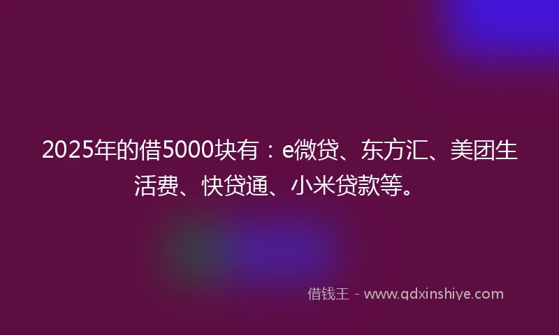 2025年的借5000块有：e微贷、东方汇、美团生活费、快贷通、小米贷款等。