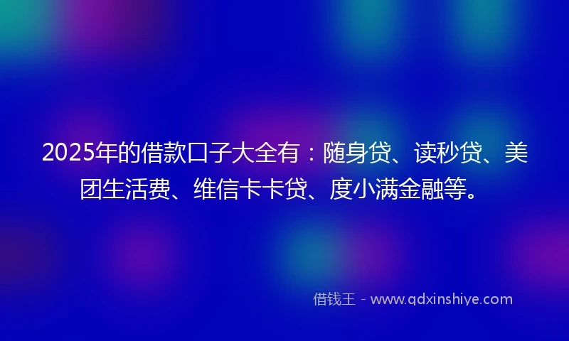 2025年的借款口子大全有：随身贷、读秒贷、美团生活费、维信卡卡贷、度小满金融等。
