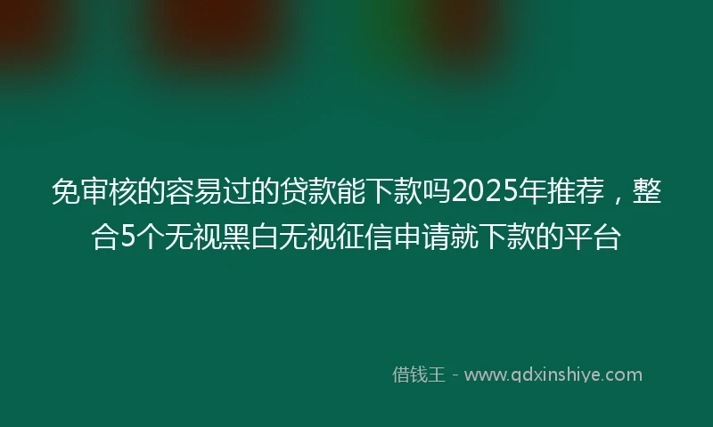免审核的容易过的贷款能下款吗2025年推荐，整合5个无视黑白无视征信申请就下款的平台